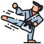 Judo Karate