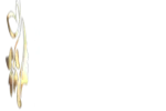 Pallavi Makeover
