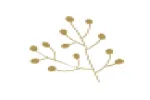 Variety Wedding Decor