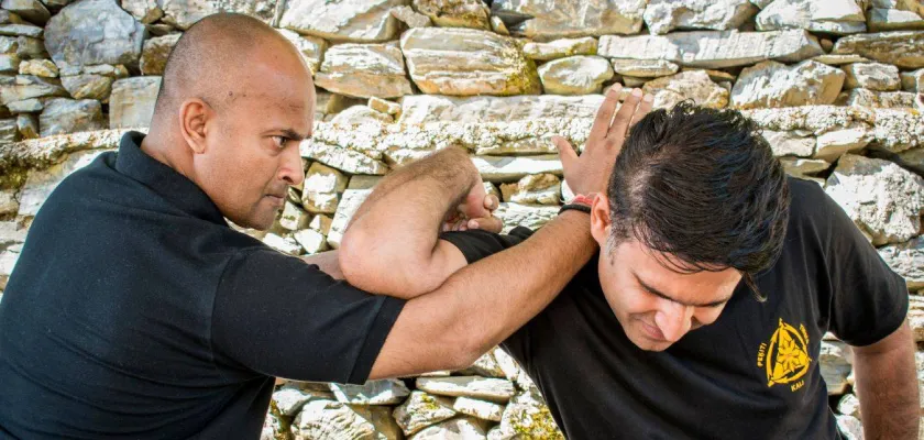 Shifu Kanishka Combatives