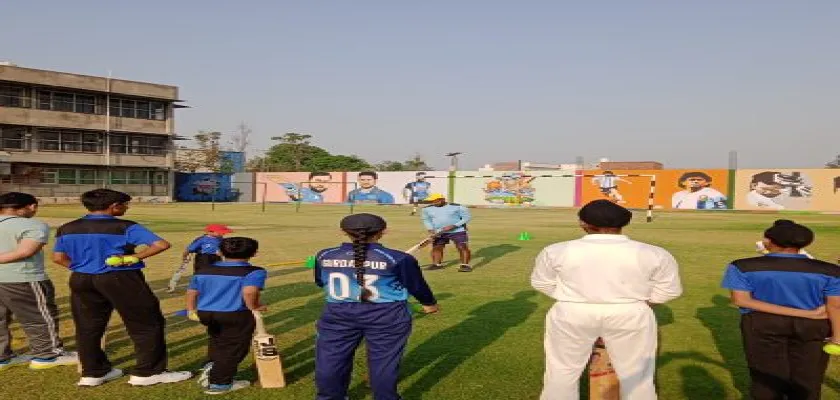 Aarka Crickets Academy