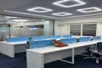 Rise Infotech