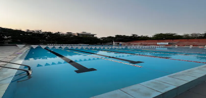 Dive In Aquatics