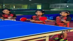 Stag Pro table tennis academy