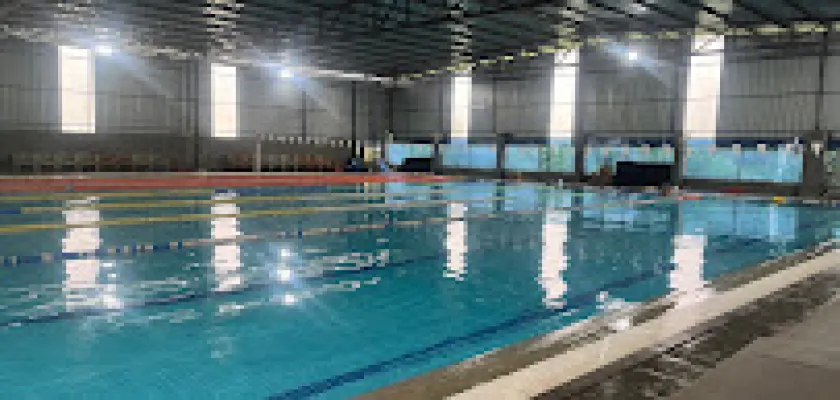 Nisha Millets Swimming Academy