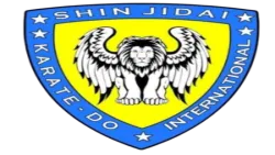 SHINJIDAI SPORTS ACADEMY