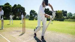 Cbr Cricket Academy